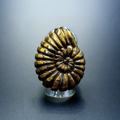 "Ammonite" Ring Ring SweetyBijou Jewelry Default Title  