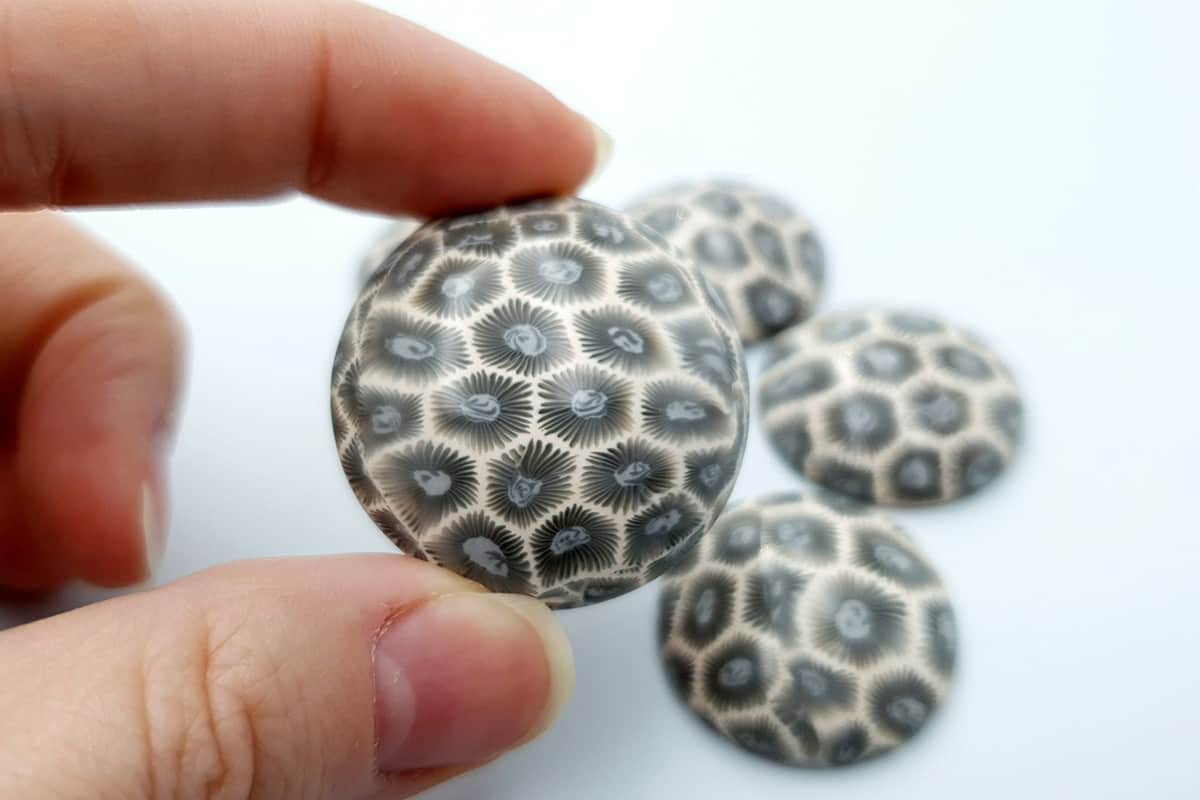 5 cabochons faux petoskey stones from polymer clay Cabochons SweetyBijou   