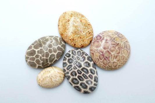 5 cabochons Faux Petoskey Stone, Polymer Clay Cabochons SweetyBijou Default Title  